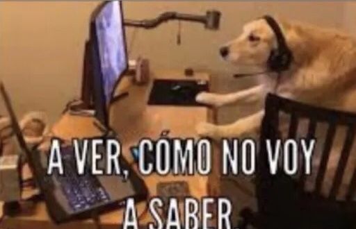 ¿Cómo no voy a saber?