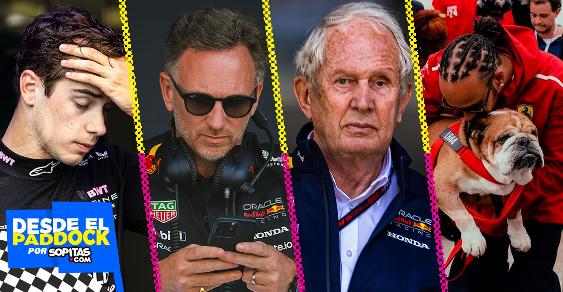 Drive to Survive octava temporada