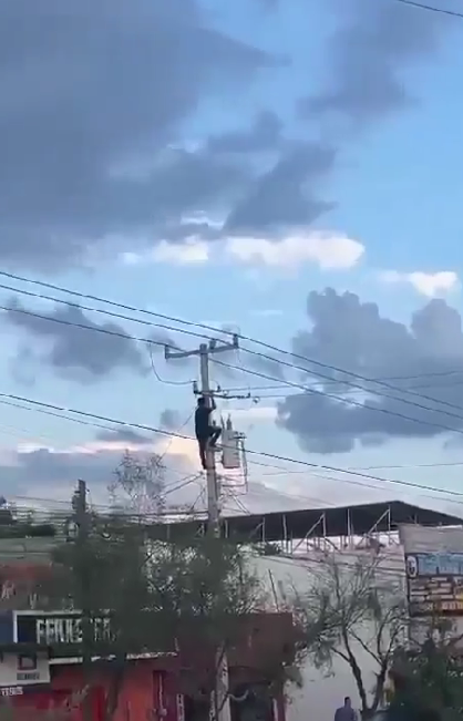 Presunto ladrón se electrocuta al subir a un poste de luz para huir de la policía