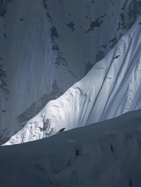 De cómo un leopardo escaló el Everest y vio el paisaje
