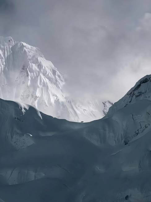 De cómo un leopardo escaló el Everest y vio el paisaje