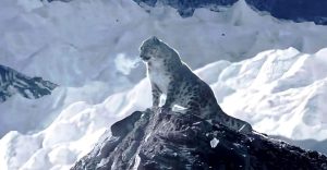 De cómo un leopardo escaló el Everest y vio el paisaje