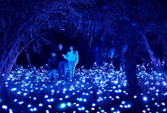 Lugares para disfrutar la CDMX (sin gente) en las vacaciones