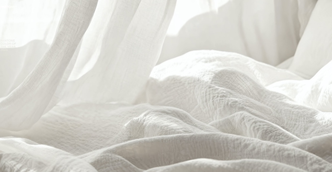 Pantone, Color del Año 2026 / Captura de pantalla