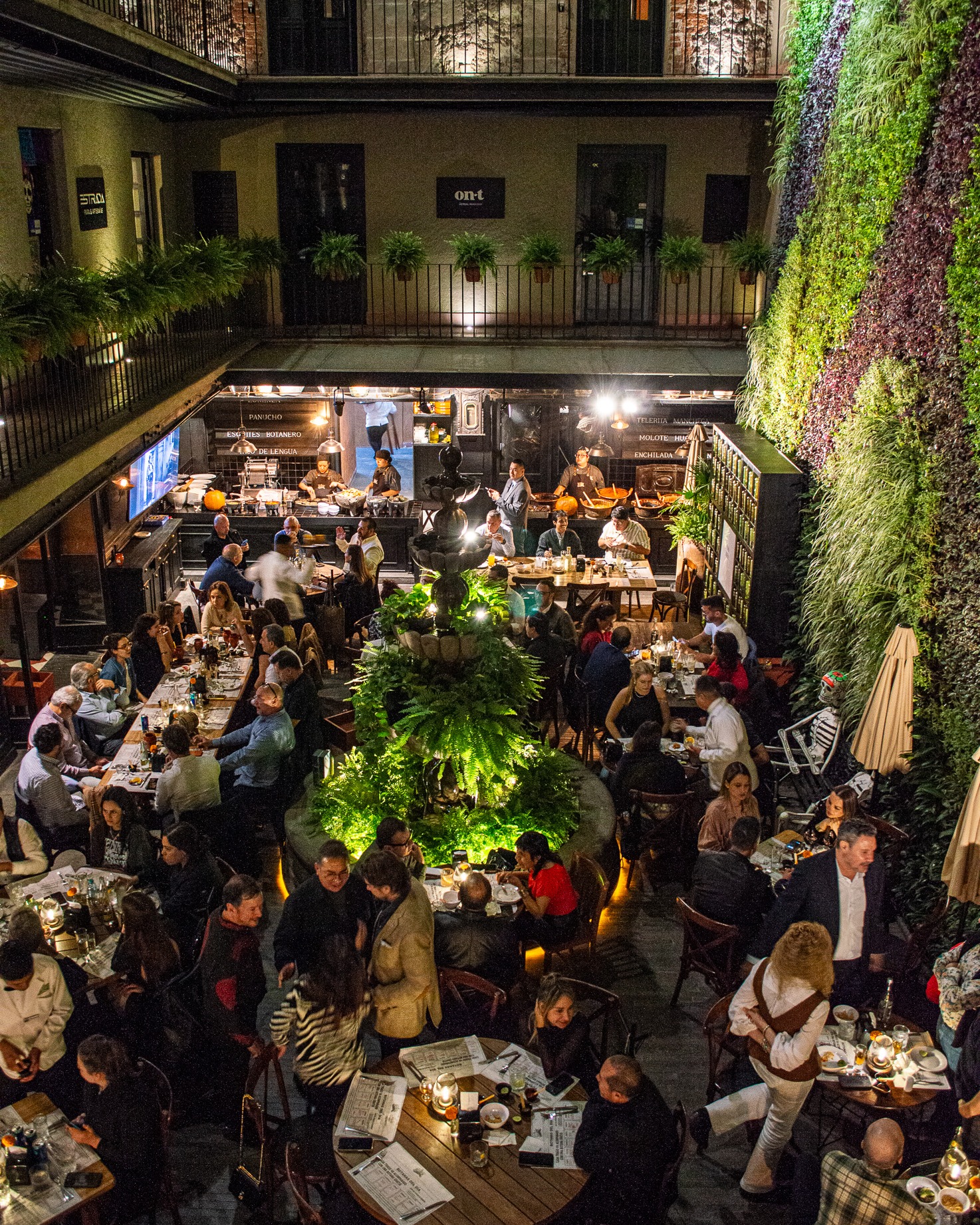 patio botanero del bosque
