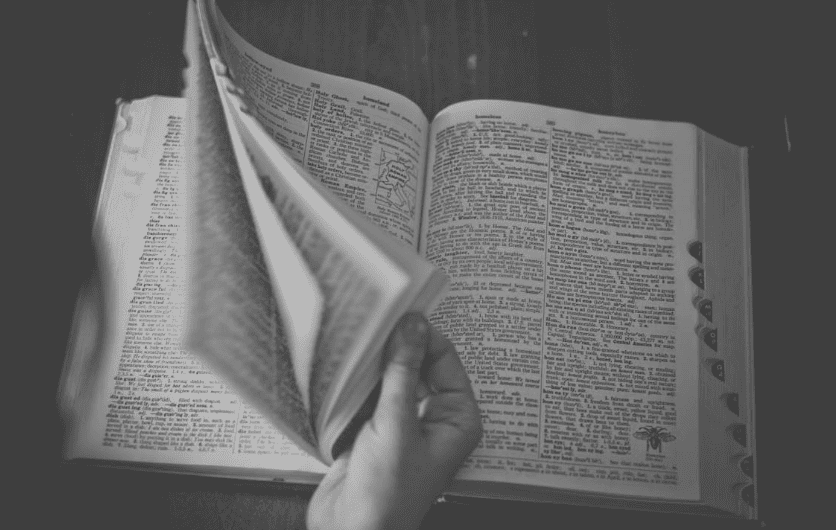 Las nuevas palabras de la RAE