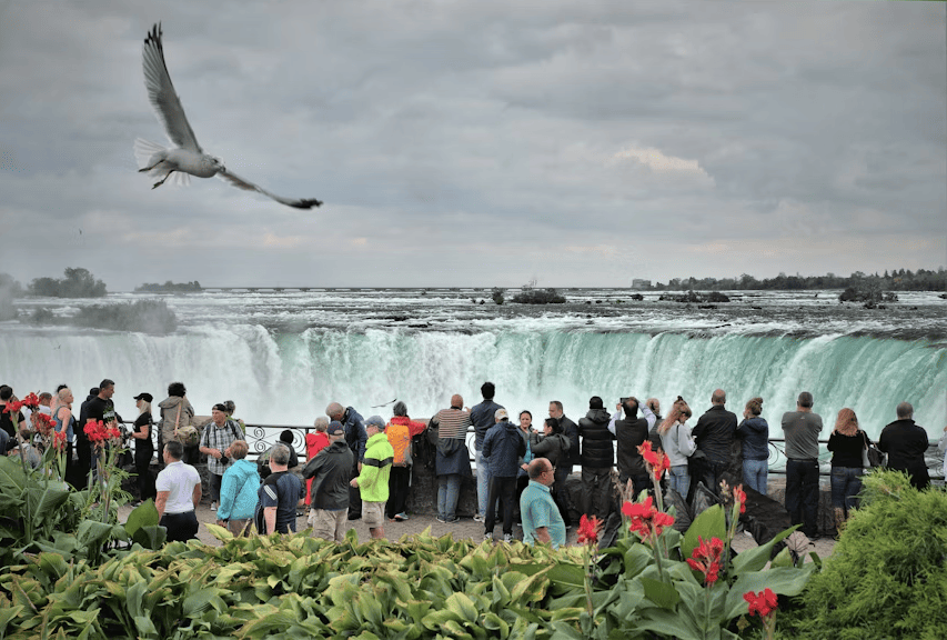 Las nuevas palabras de la RAE