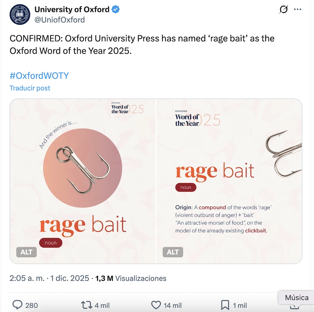 Las palabras del año 2025, ¿con cuál se quedan?