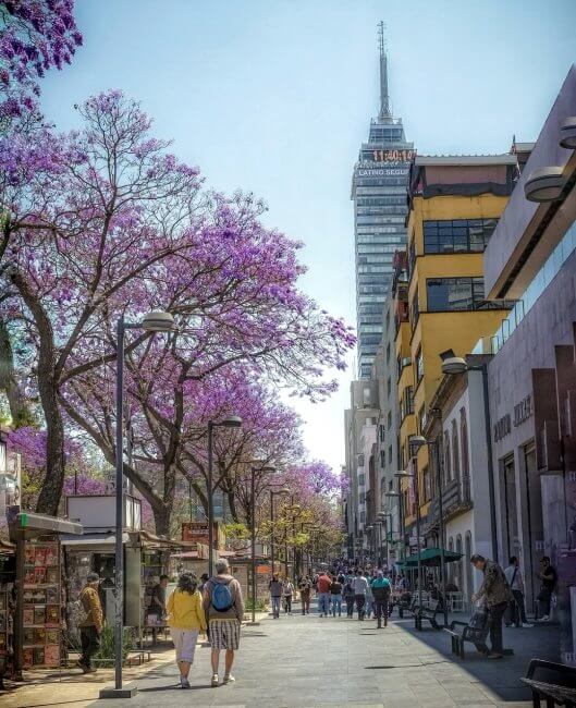 Sobre la asombrosa remodelación del Centro Histórico en 2026
