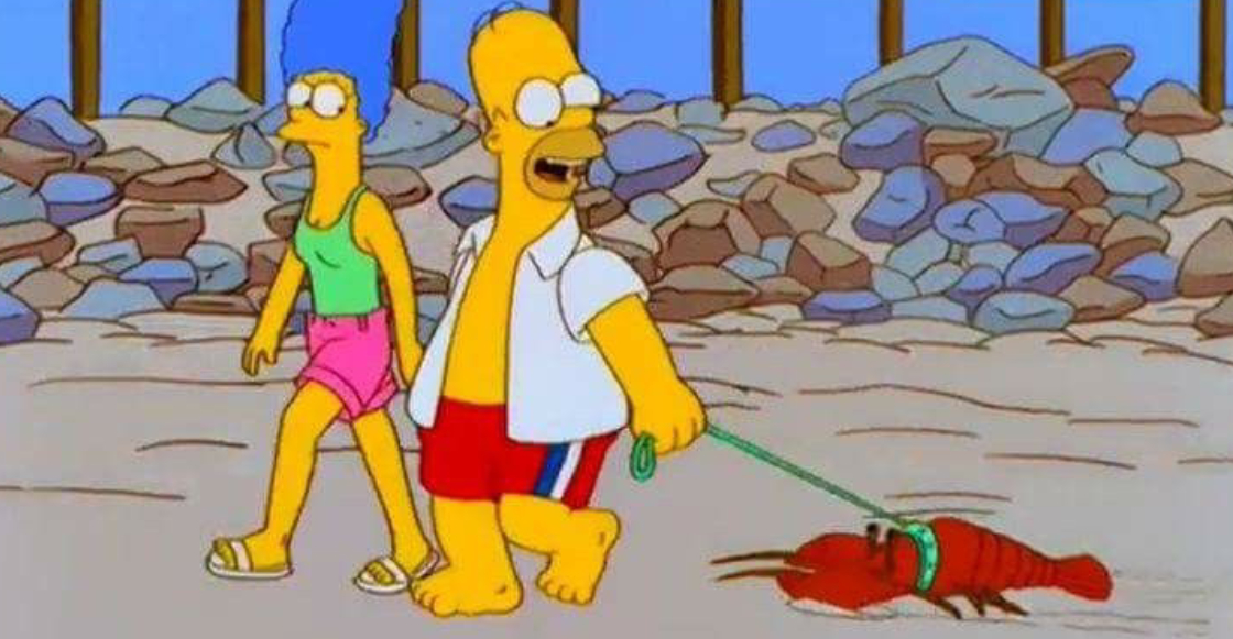 reino-unido-prohibe-hervir-langostas-vivas-crueldad-animal