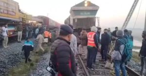 Ay, no: 7 elefantes murieron al ser arrollados por un tren que descarriló en India