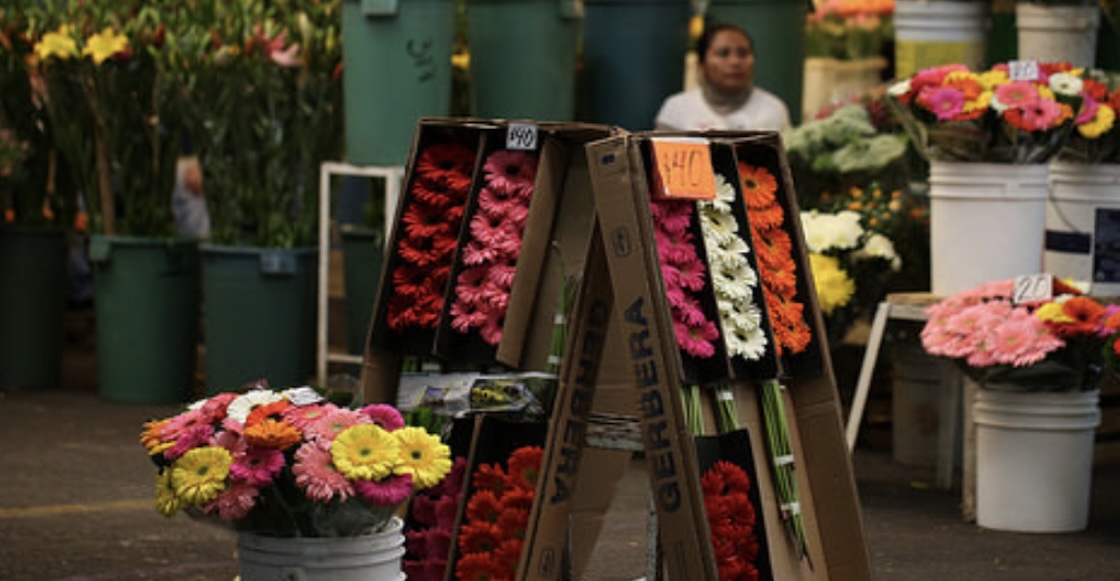 Fuimos al Mercado de Jamaica para ver si ya le cayó la turistificación y esto encontramos
