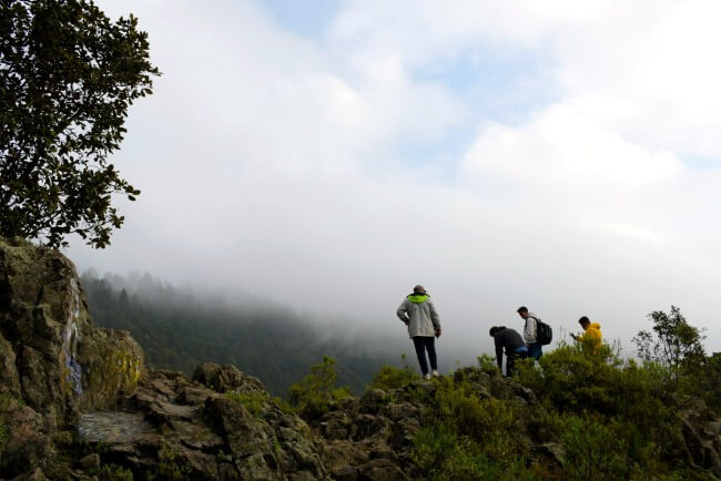 Estas son las alcaldías más frías de la ciudad