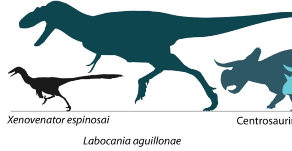 descubren-nueva-especie-dinosaurio-coahuila-usaba-cabeza-como-arma-1