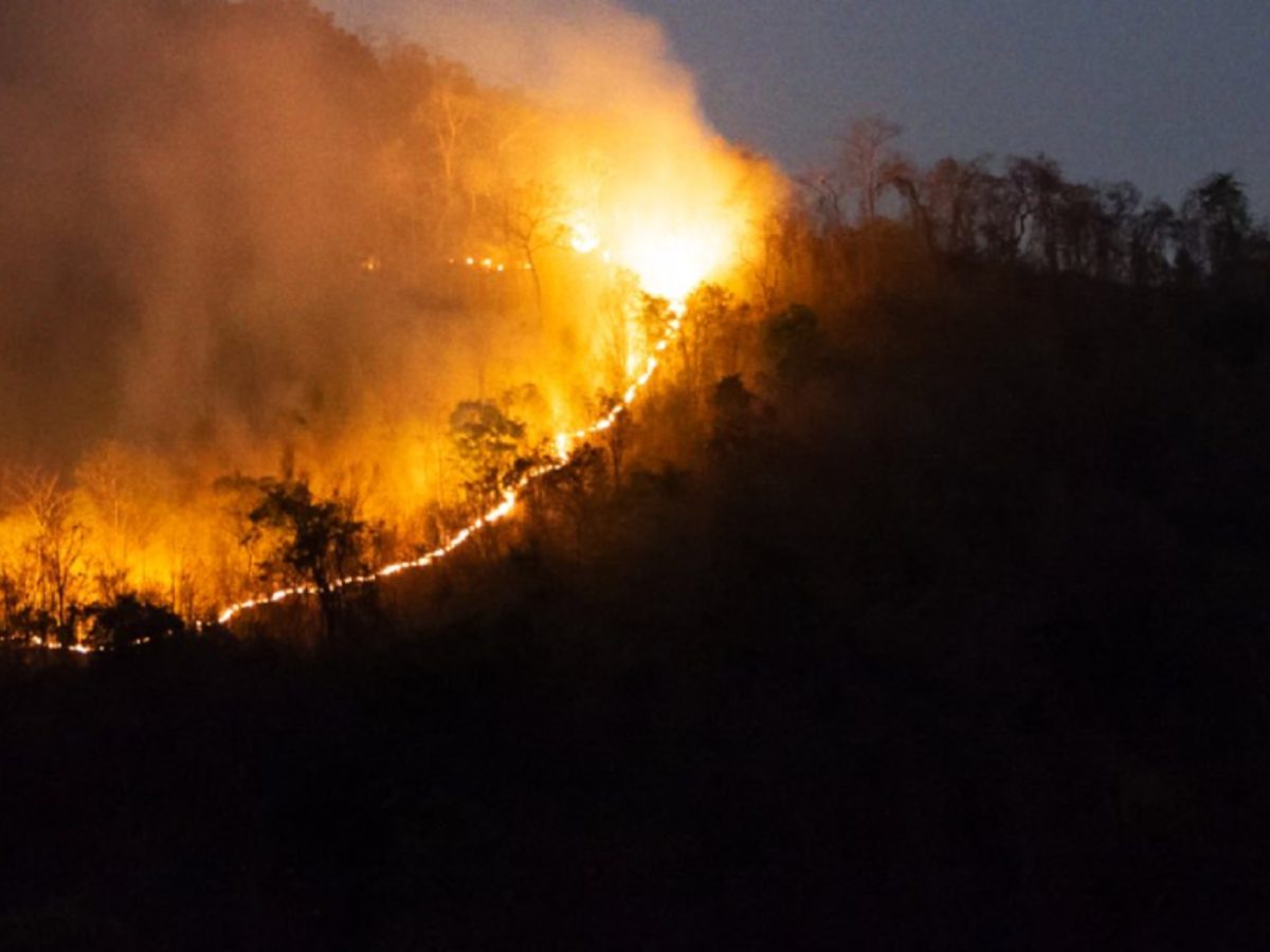 estado-catastrofe-chile-mueren-personas-incendios-forestales