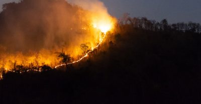 estado-catastrofe-chile-mueren-personas-incendios-forestales