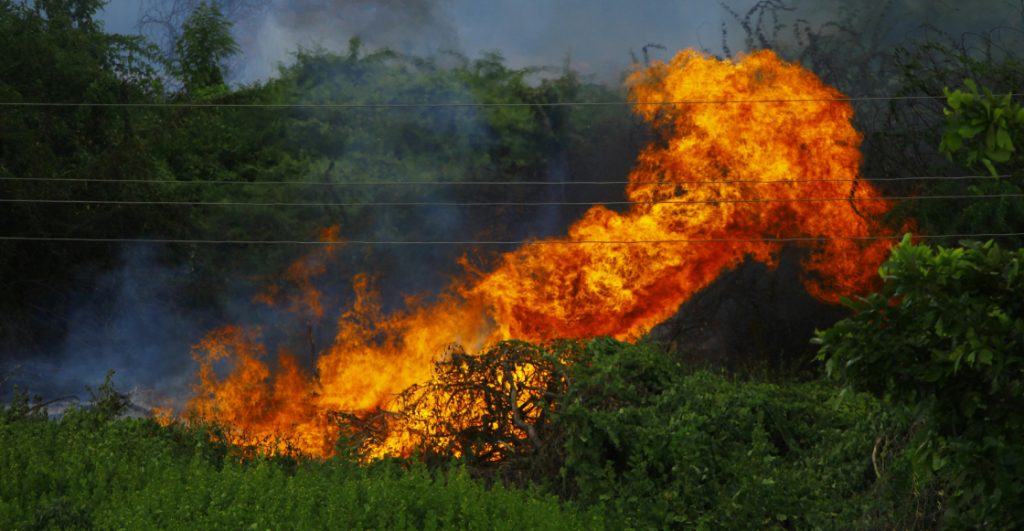 estado-catastrofe-chile-mueren-personas-incendios-forestales-6