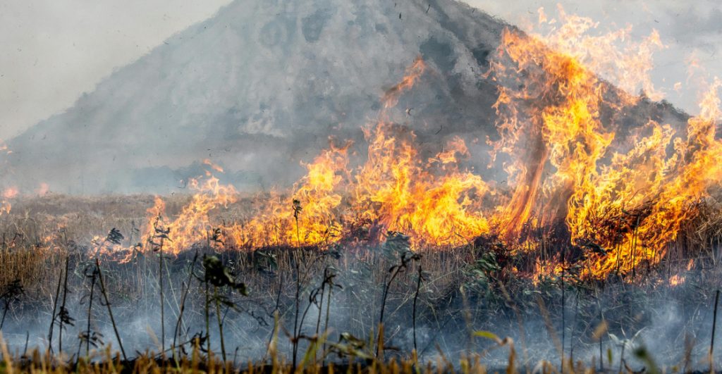 estado-catastrofe-chile-mueren-personas-incendios-forestales-7