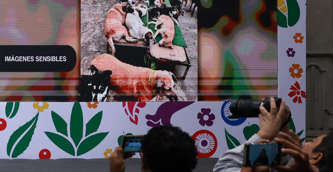 fgj refugio franciscano