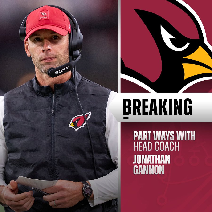 gannon cardenales nfl