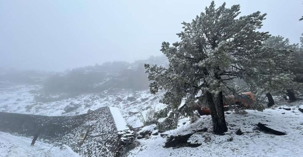 ¿De verdad está haciendo más frío que otros años en México? Un experto nos responde