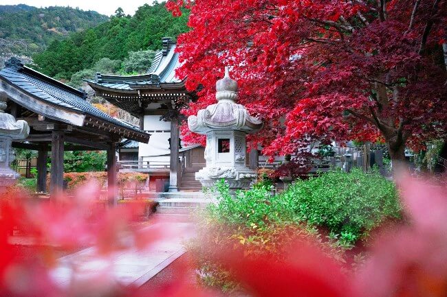 Japón milenario: La nueva muestra para viajar al país nipón en el Museo Nacional de Antropología