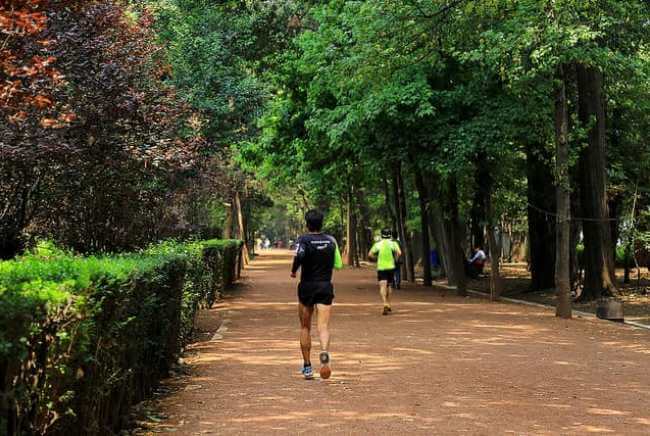 Lista de gimnasios gratuitos en la CDMX