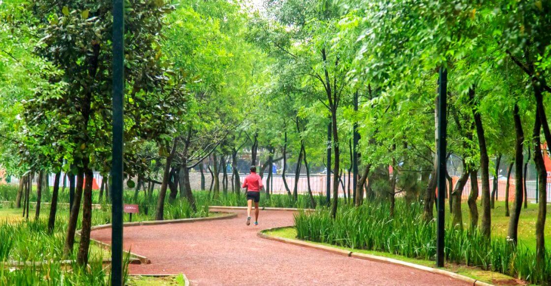 Lista de gimnasios gratuitos en la CDMX