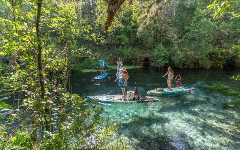 los mejores deportes acuaticos en florida