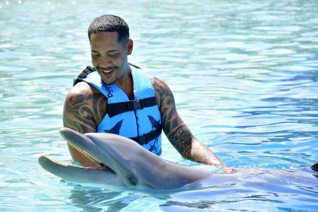 Hermosas noticias: México liberó a 350 delfines que estaban en cautiverio