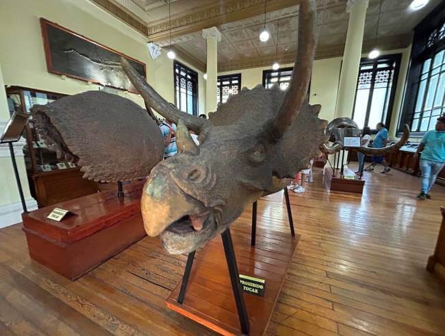 Piezas imperdibles del Museo de Geología de la CDMX