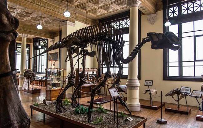 Piezas imperdibles del Museo de Geología de la CDMX