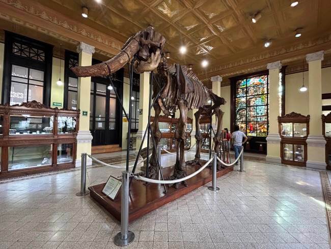 Piezas imperdibles del Museo de Geología de la CDMX