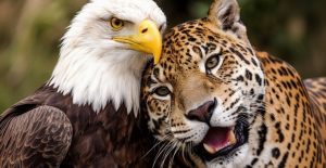 reconciliacion estados unidos colombia 1