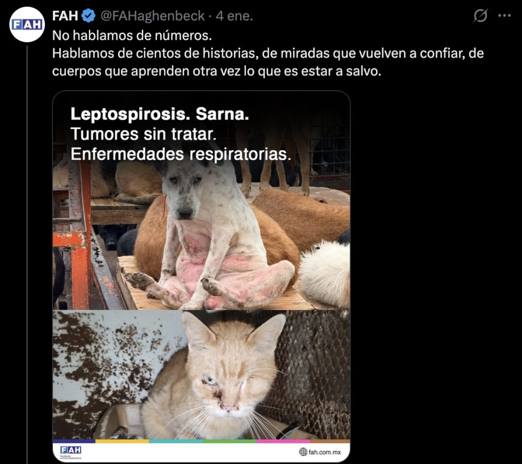 Imágenes de Refugio Franciscano compartidas por dueños del predio