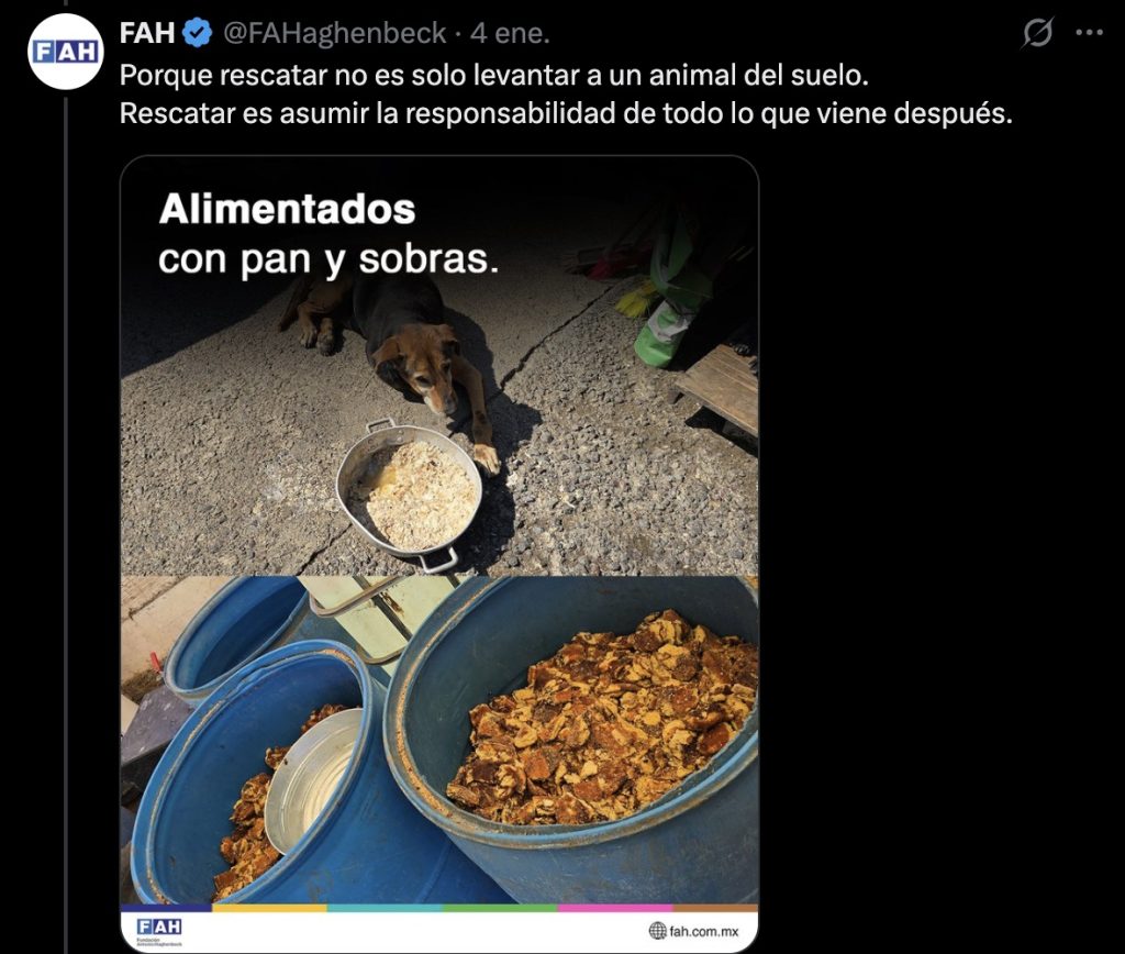 Imágenes de Refugio Franciscano compartidas por dueños del predio