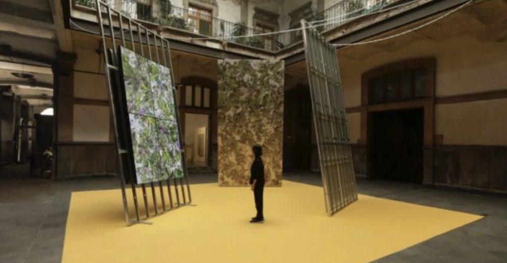 Salón ACME 2026: Fechas, eventos y todo lo que necesitas saber para disfrutar una Semana de Arte en CDMX