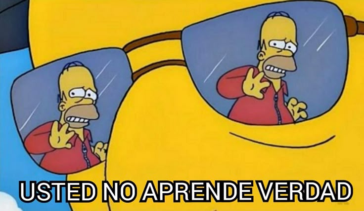 Usted no aprende meme
