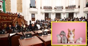 Aprueban que mascotas entren al Congreso de CDMX