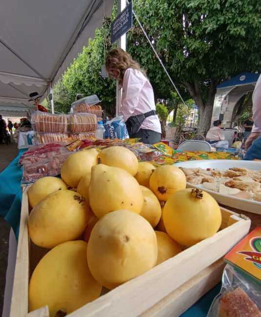 un-viaje-dulce-a-la-capital-mundial-de-la-guayaba
