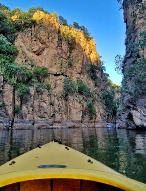 Un viaje dulce a la Capital Mundial de la Guayaba
