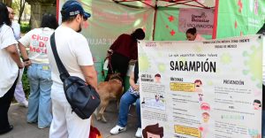 Casos y muertes por sarampión en México