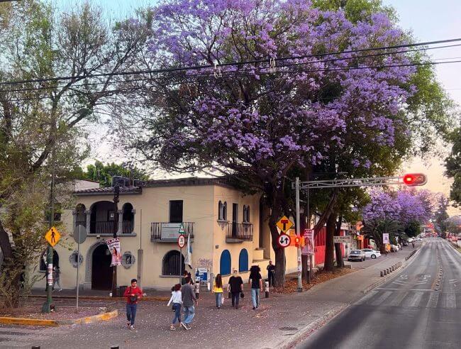 La cautivadora historia de la Colonia Industrial