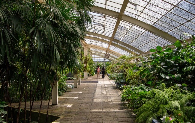 Poesía en medio de la ciudad: El Orquideario de Chapultepec