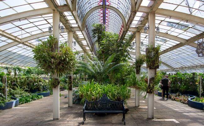 Poesía en medio de la ciudad: El Orquideario de Chapultepec