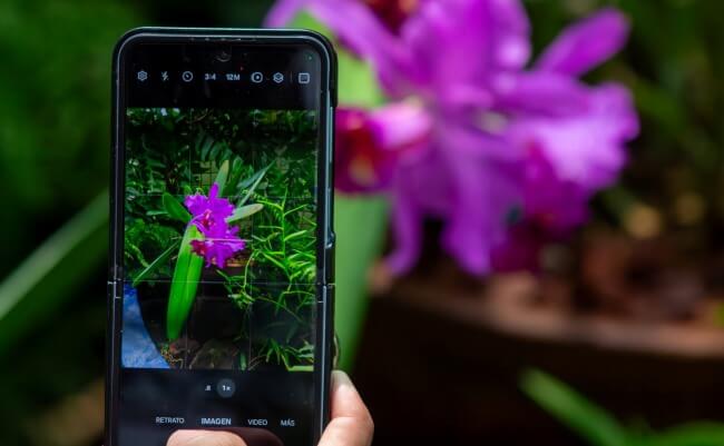 Poesía en medio de la ciudad: El Orquideario de Chapultepec