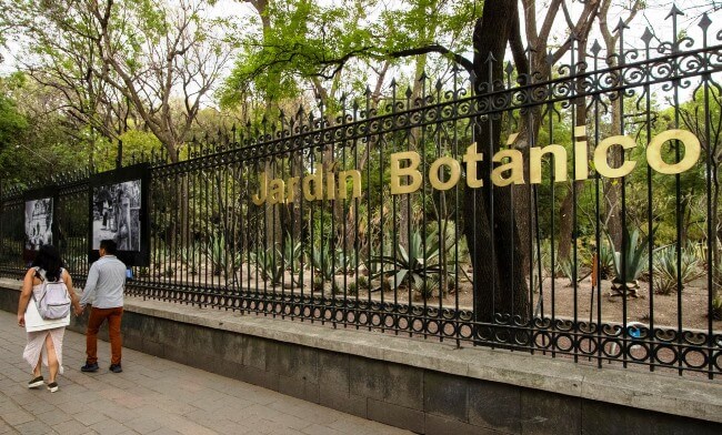 Poesía en medio de la ciudad: El Orquideario de Chapultepec