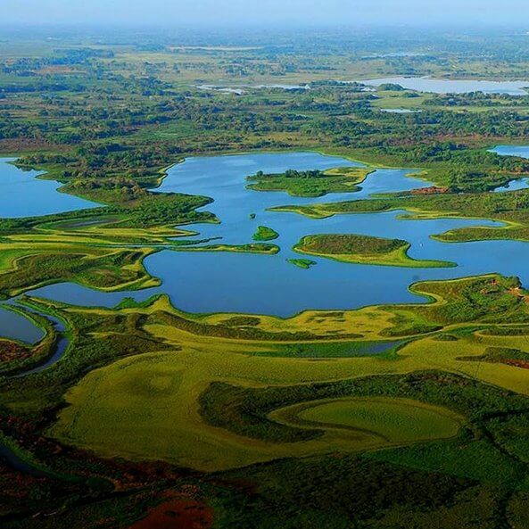 Lugares para ver pantanos en México (y descubrir orquídeas)
