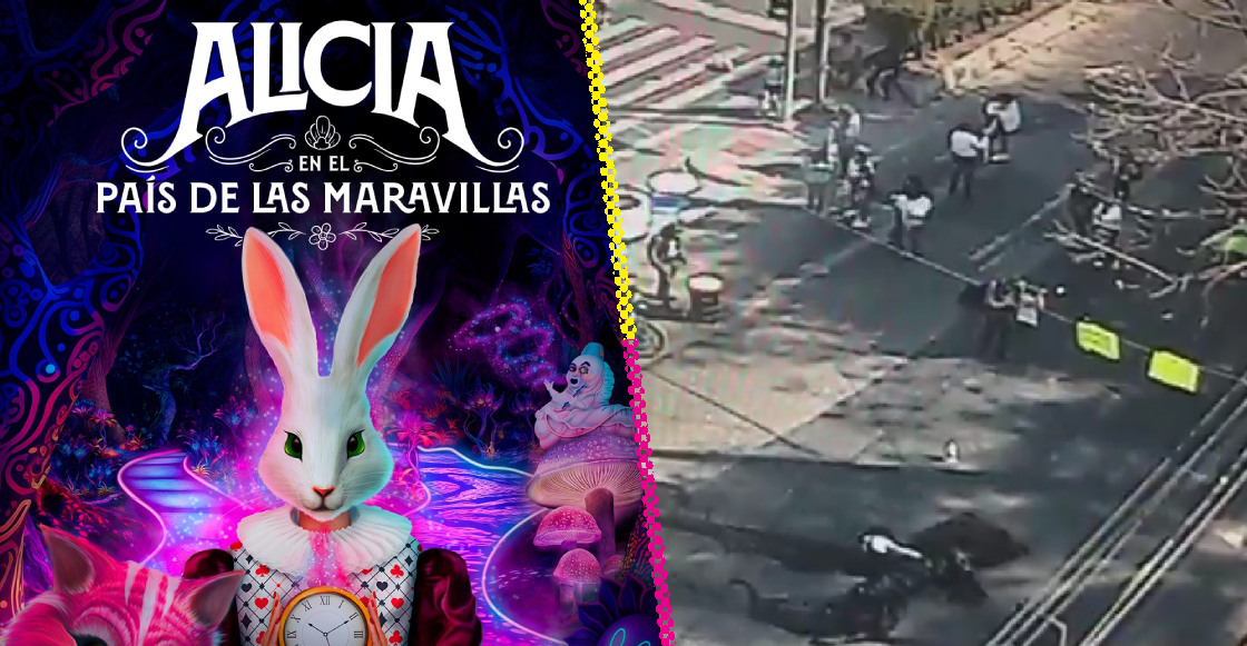 Bloqueo maratónico y privatización: ¿Qué está pasando en Parque Lira?