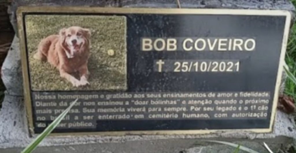 perrito-brasil-inspira-ley-dejara-mascotas-sean-enterradas-tumbas-duenos-5
